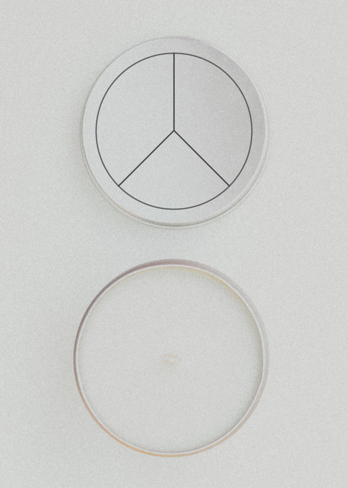 FUND FOOD & HEALTHCARE. 10 OZ Candle