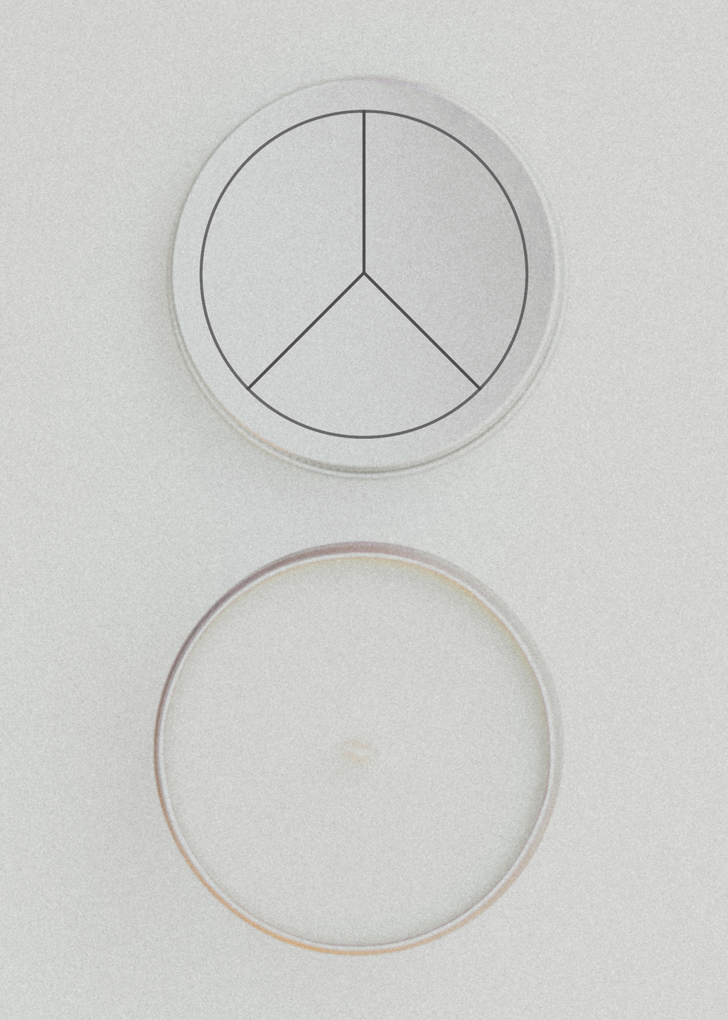 BAN ASSAULT RIFLES. 10 OZ Candle